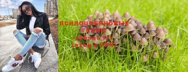 ECSTASY Абдулино