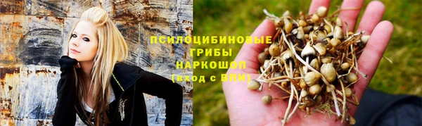 ALPHA PVP Алексин