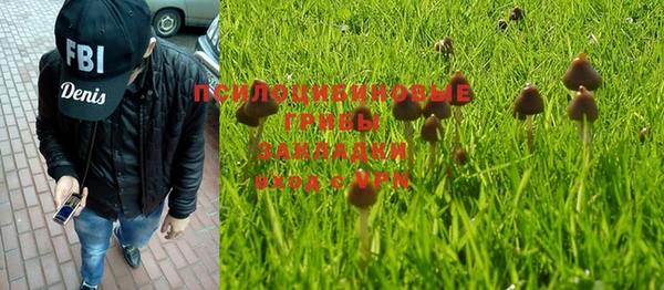 эйфоретик Нефтекумск