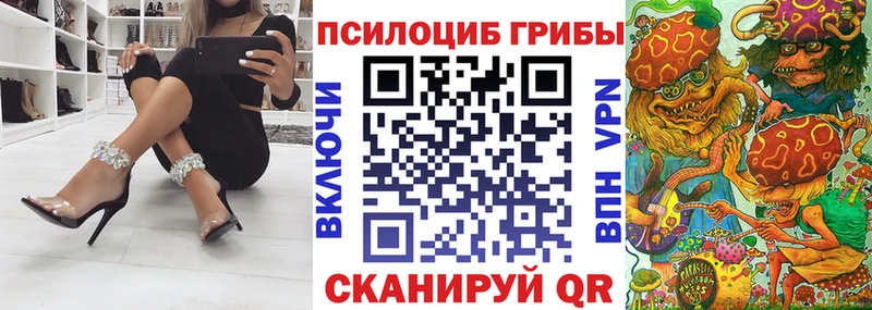 купить закладку  Подольск  Псилоцибиновые грибы Magic Shrooms 