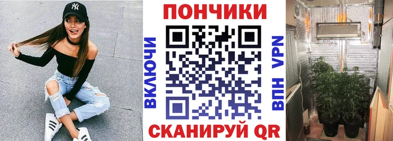 наркота  Подольск  Бошки Шишки OG Kush 